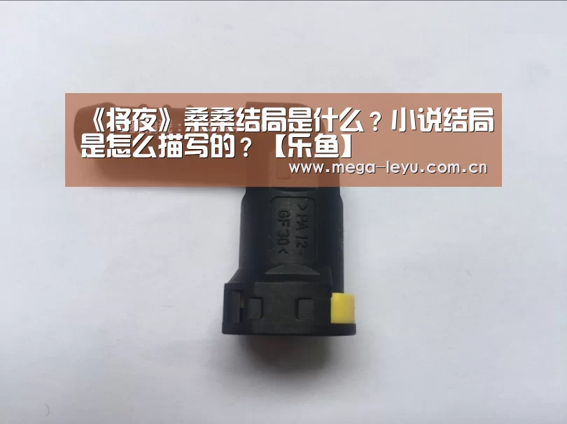 《将夜》桑桑结局是什么?小说结局是怎么描写的?【乐鱼】(图2) 《将夜》桑桑结局是什么?小说结局是怎么描写的?【乐鱼】(图2)