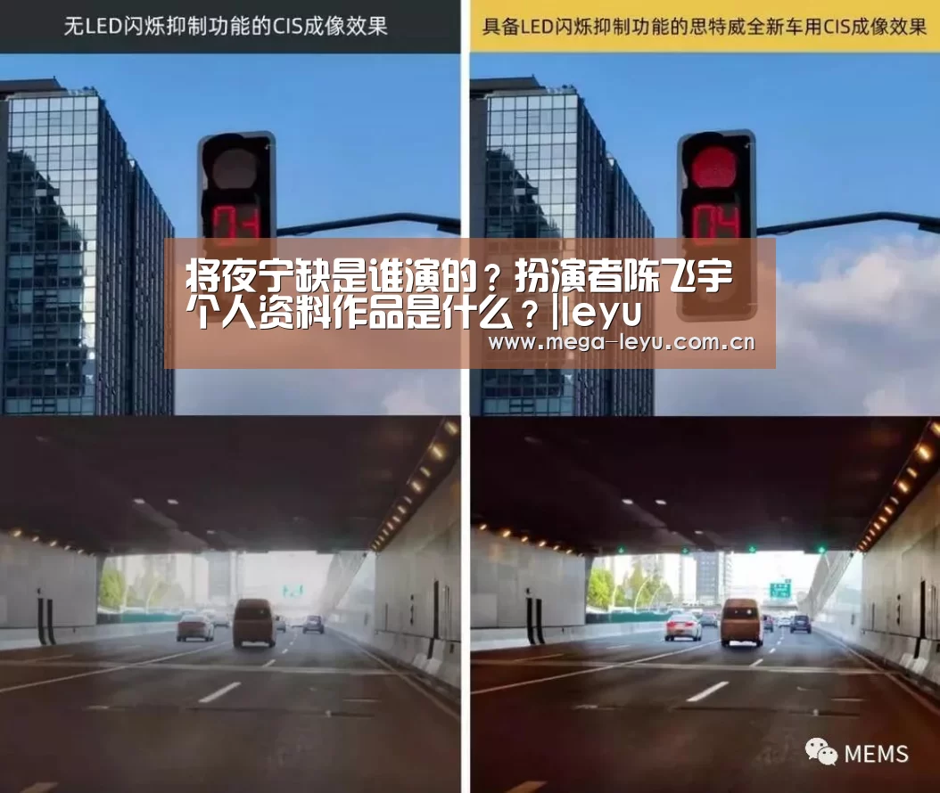 将夜宁缺是谁演的?扮演者陈飞宇个人资料作品是什么?|leyu(图2) 乐鱼电竞