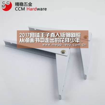 乐鱼电竞